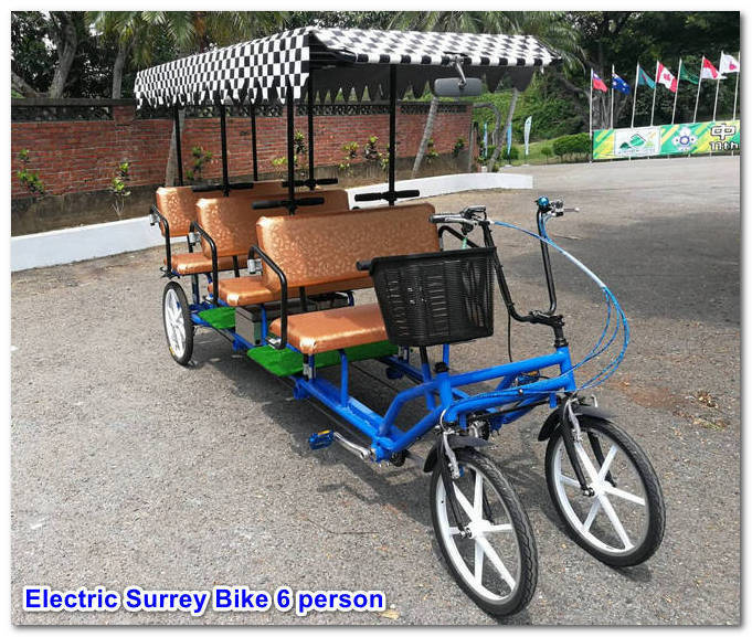 Six Person Electric Vehicle