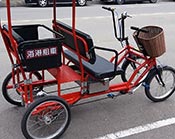 Electric rickshaw for family