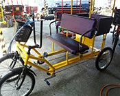 Rickshaw for family