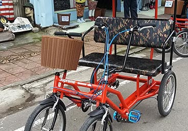 遊園車-腳踏情人車