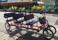 遊園車-腳踏六人車