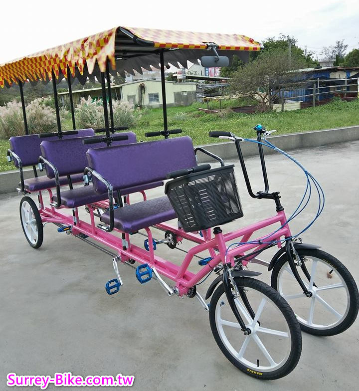 Tourist Rickshaw for 6 people