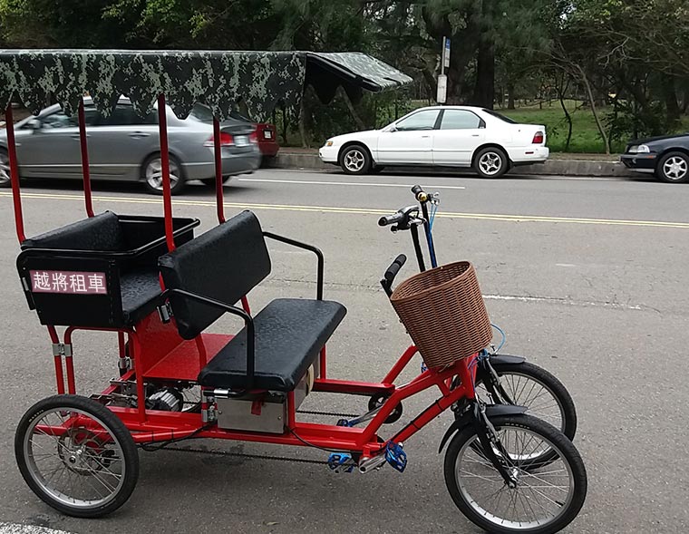 Family style Electric Motor Bicycle Tourist Cart