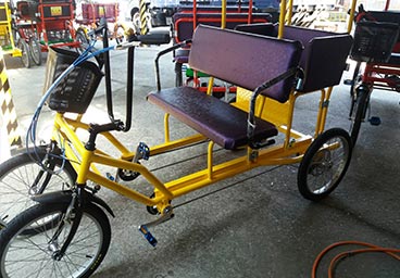Rickshaw for family