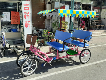 Electric Rickshaw for 4 people